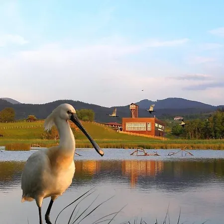 Piso Céntrico Y Tranquilo En * Guernica y Luno