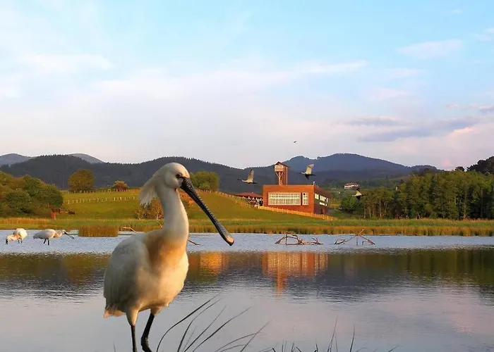 Piso Centrico Y Tranquilo En * Guernica y Luno